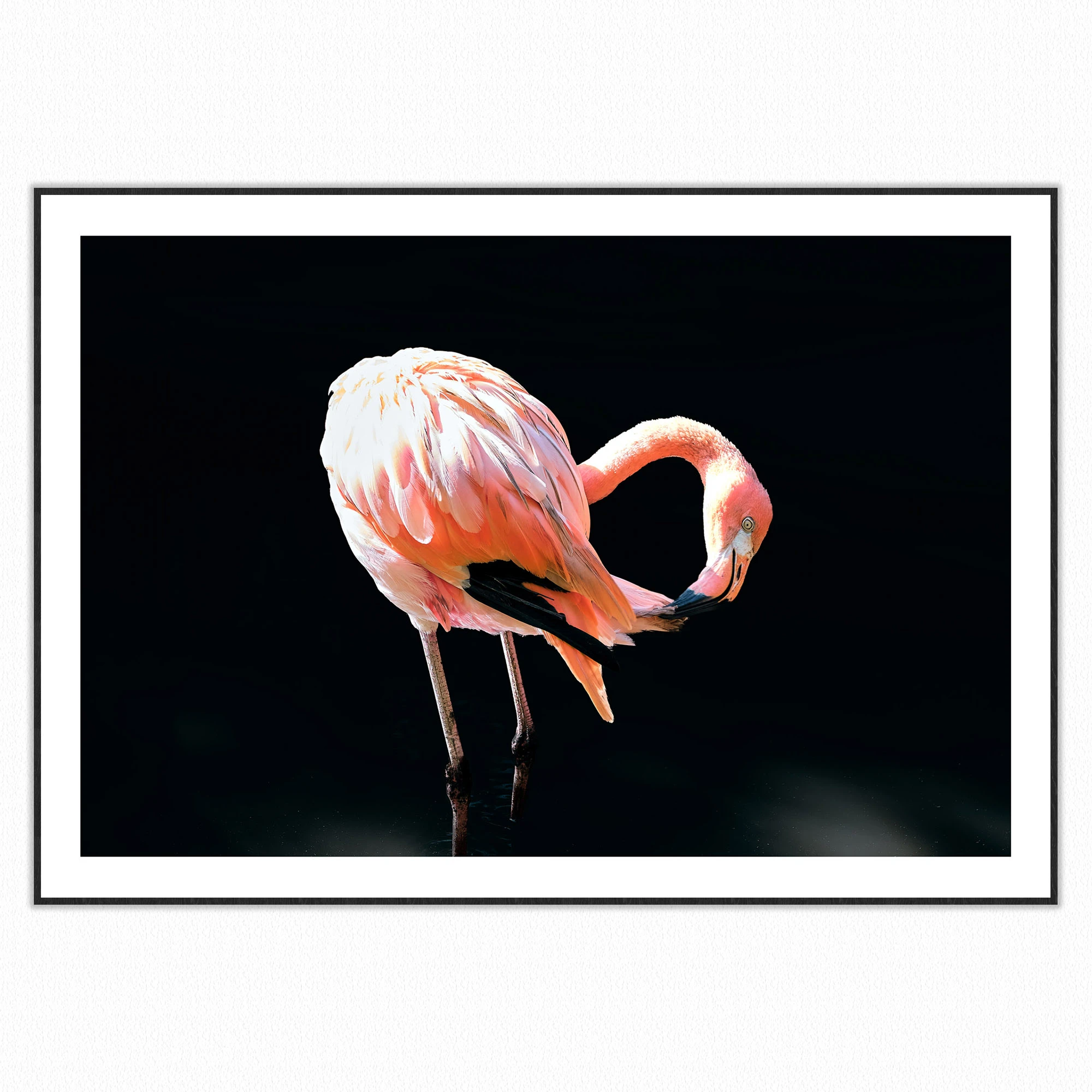 23042_Martinique_1-1